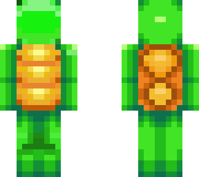 turtle: for contest!