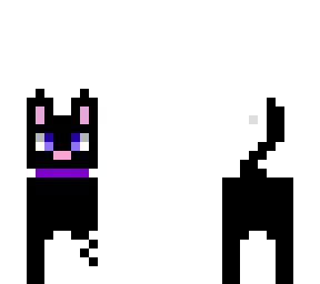 black cat
