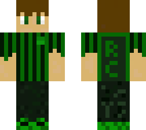recaptch official skin