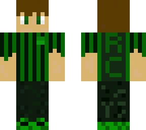 recaptch official skinv2