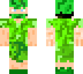 turtle armor (skin not armor)