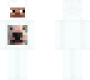 wfdawfafa