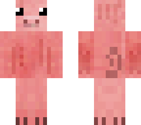 cute pig