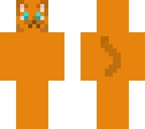 ginger cat