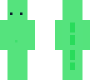 lizard