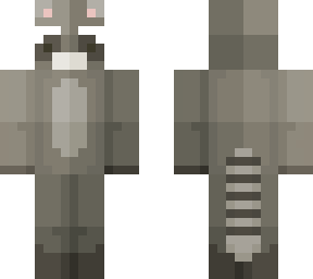 racoon