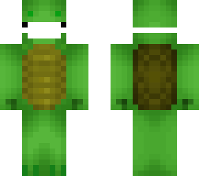 turtle with mask