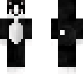 a black cat