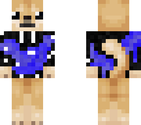 galaxy doge