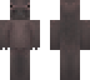 new hippo