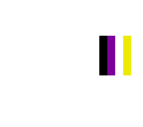 non-binary flag (outer and body layer)