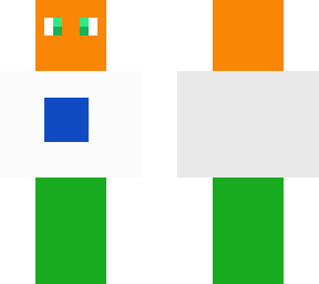 india flag skin
