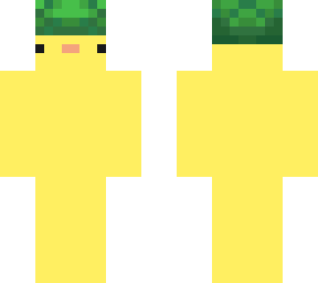 stazers