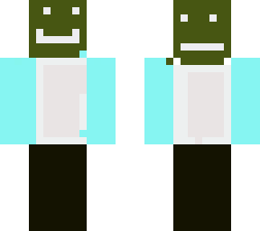 the twins