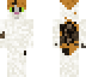 calico cat