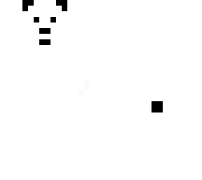 panda z wojanowic
