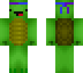 tortue