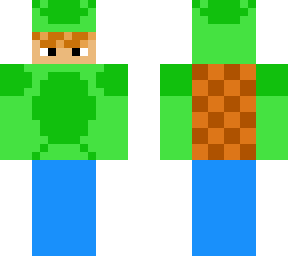 turtle hoodie
