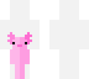 baby axolotl