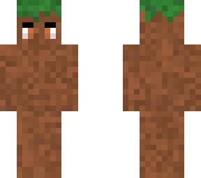 grass/dirt skin (boy)