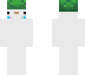 i like turtles