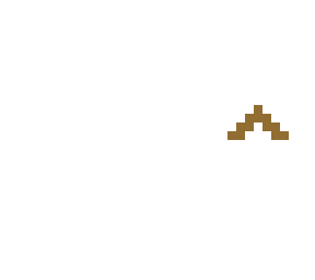 poop