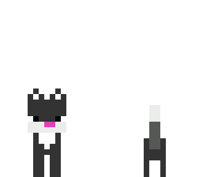 wild cat