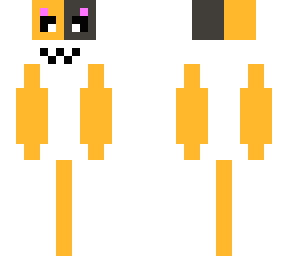 kastorelgato