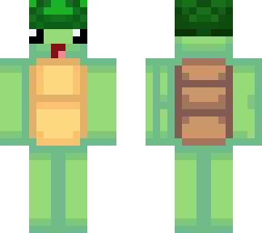 turtle with shell hat