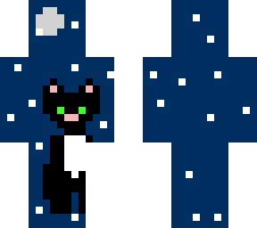cat  of the night