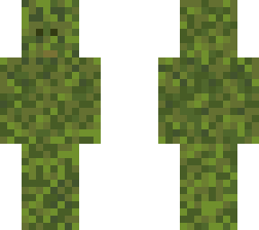 lore skin #4