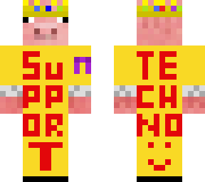 techno support