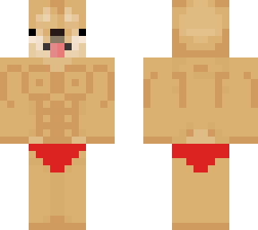 perro mamado