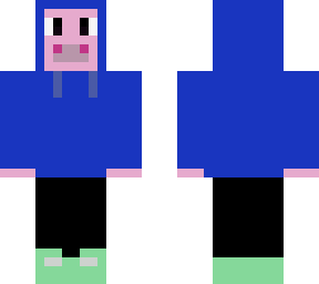 pig in a hoodie