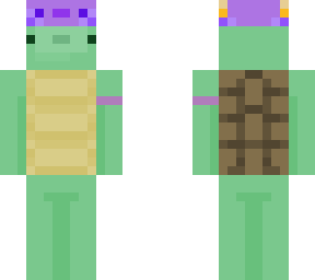 turtle