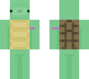 turtle