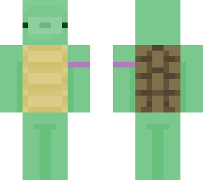 turtle
