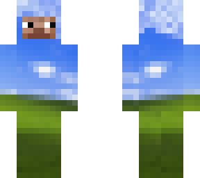 windows xp steve