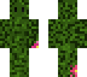 kaktus