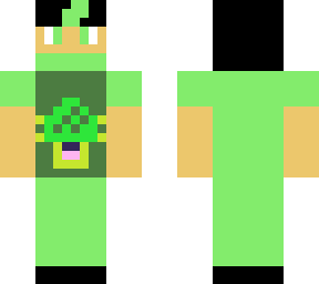 ninja turtle