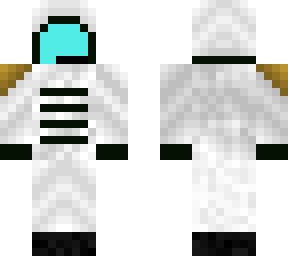 snow guard