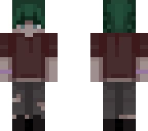 applepi8455s skin for mc java