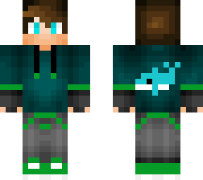 dolphin player