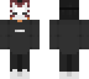 main skin (ace)
