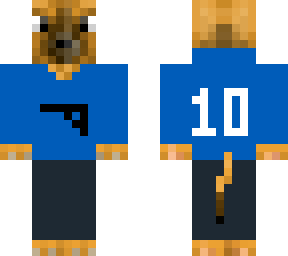 skin fr drton1304