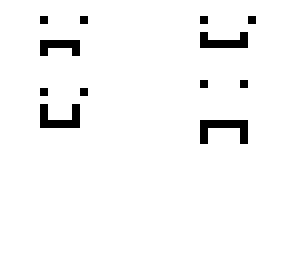 white skeppy