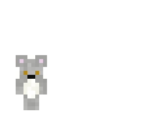 baby koala