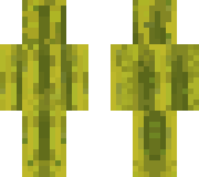 watermelon skin