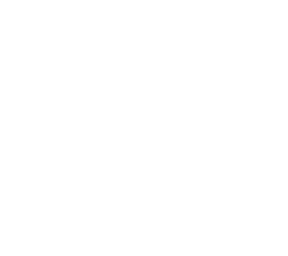blank :/