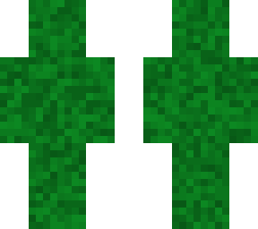 grass